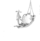 網代⽊